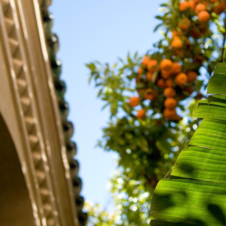 Riad La Maison D'à Côté Meknès Extérieur photo